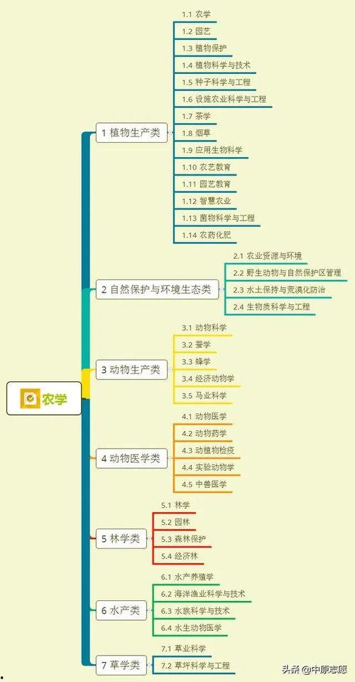 甜面小哥视频爆料大全集,揭秘幕后真相与精彩瞬间  第3张